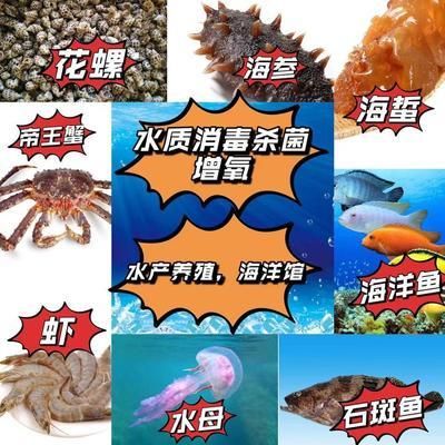 臭氧對魚缸作用是什么：臭氧發(fā)生器在水產(chǎn)養(yǎng)殖中的應(yīng)用