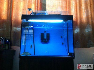 成品帶蓋魚缸怎么加裝過濾桶：在成品帶蓋魚缸中加裝過濾桶以下是根據(jù)搜索結(jié)果得出的詳細(xì)步驟 魚缸百科 第1張