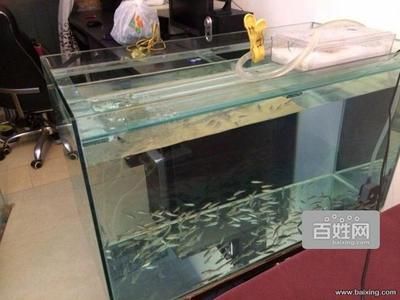 廣州買魚缸去哪里：廣州哪里可以購(gòu)買魚缸