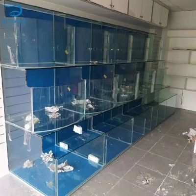 廣州買魚缸去哪里買便宜實(shí)惠：廣州水族市場探秘廣州水族市場探秘廣州水族市場 廣州水族批發(fā)市場 第4張