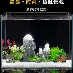 超小型魚(yú)缸造景設(shè)計(jì)