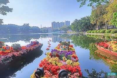 廣州芳村花卉市場疫情：廣州芳村花卉市場疫情下的嶺南花卉市場 廣州水族批發(fā)市場 第3張