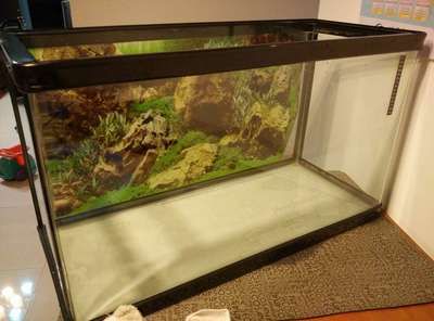 廣州魚缸哪里買最便宜又好用的水：廣州花鳥魚蟲市場 廣州水族批發(fā)市場 第1張