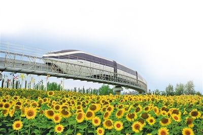 芳村花卉博覽園地鐵口：關(guān)于芳村花卉博覽園附近地鐵站的信息 廣州水族批發(fā)市場(chǎng) 第4張