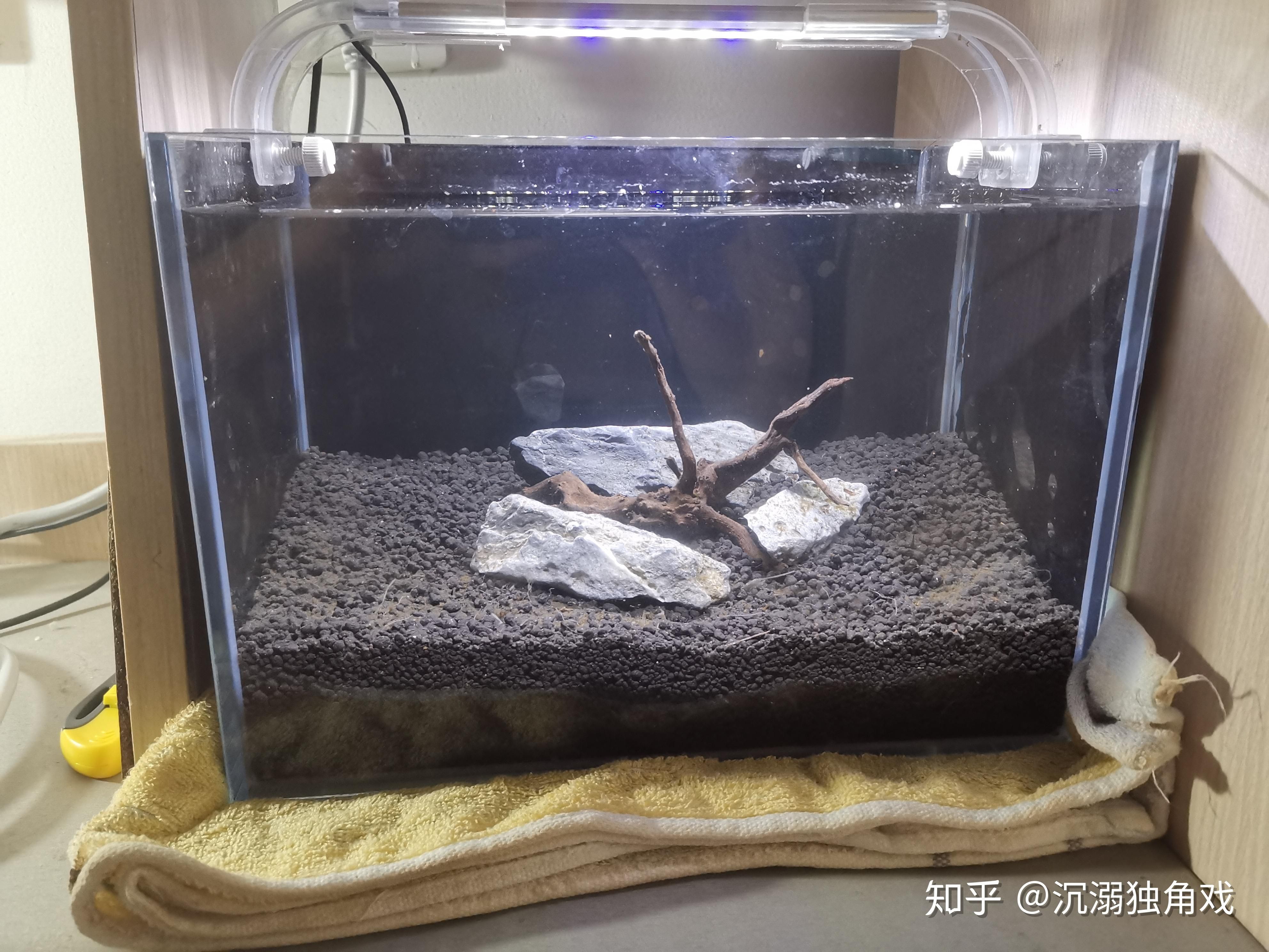 不用打理的魚缸怎么處理魚：不用打理的魚缸處理方法有以下幾種，家里不用的魚缸該如何處理