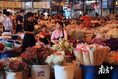 芳村花卉批發(fā)市場(chǎng)地鐵怎么去：地鐵站到花卉批發(fā)市場(chǎng)怎么走 廣州水族批發(fā)市場(chǎng) 第3張