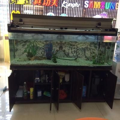 廣州買魚缸去哪里買好點：廣州哪里可以買魚缸？ 廣州水族批發(fā)市場 第3張