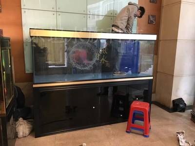 廣州買魚缸去哪里買好點：廣州哪里可以買魚缸？ 廣州水族批發(fā)市場 第1張