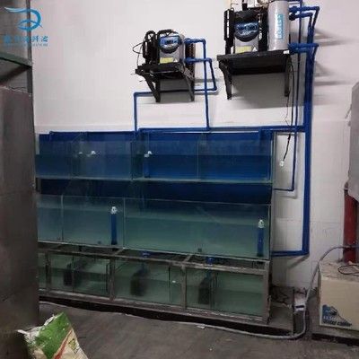 廣州哪里可以買魚缸和魚：廣州水族文化探秘