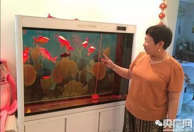 大興魚缸賣魚缸的地方在哪：北京大興區(qū)售賣魚缸的相關(guān)信息