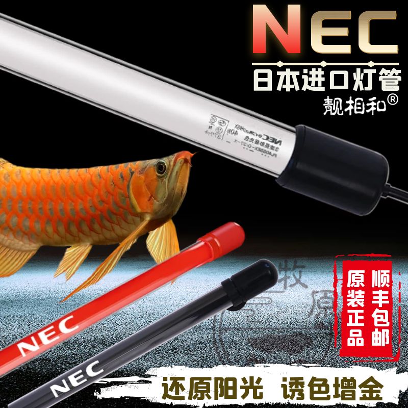 6700k龍魚燈品牌：6700k龍魚燈品牌市場表現(xiàn)