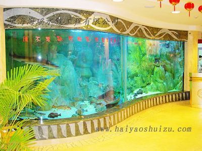 大型觀賞魚缸的價(jià)格：大型觀賞魚缸價(jià)格 魚缸百科 第4張