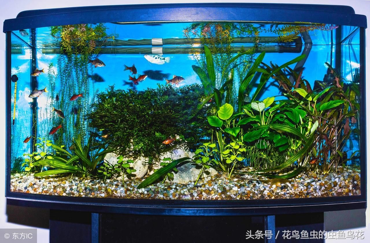 大型魚缸制作方法視頻教學(xué)：大型魚缸制作方法視頻教學(xué)時需要了解一下基礎(chǔ)知識 魚缸百科 第4張