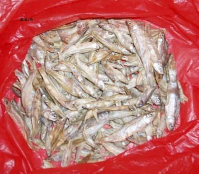 龍魚(yú) 飼料 魚(yú)干怎么做：在探討龍魚(yú)飼料中魚(yú)干的做法之前需要明確一點(diǎn)：通常情況下