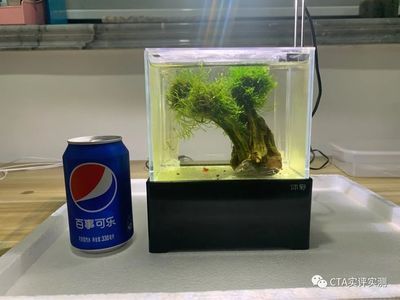 100l的魚缸：一個容積為100升的魚缸通常具有以下規(guī)格以下規(guī)格