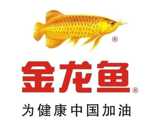 金龍魚防偽標(biāo)志在哪里看：金龍魚防偽標(biāo)志的識別方法 龍魚百科 第2張