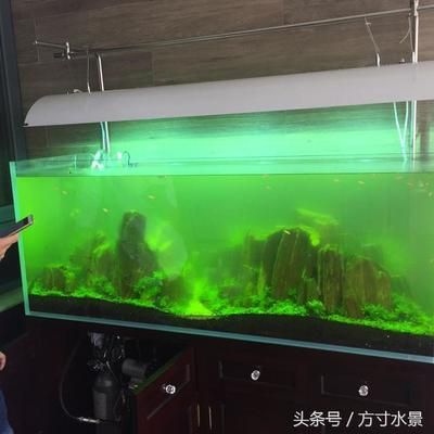 大型家用魚(yú)缸怎么打理：大型家用魚(yú)缸的打理主要包括以下幾個(gè)方面：清洗魚(yú)缸的重要步驟 魚(yú)缸百科 第4張