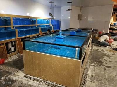 廣州賣魚缸的地方在哪：廣州一些賣魚缸的地方 廣州水族批發(fā)市場 第4張