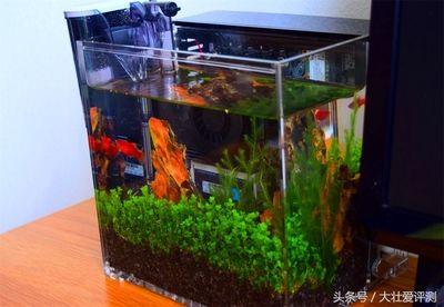 玻璃魚缸過濾器哪種好用點(diǎn)：玻璃魚缸過濾器品牌介紹仟湖、尼特利、京業(yè)jingye 魚缸百科 第2張