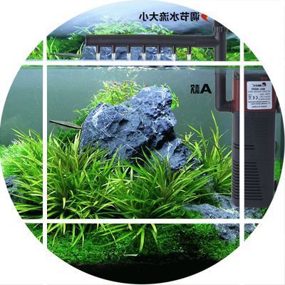 玻璃魚缸過濾器哪種好用點(diǎn)：玻璃魚缸過濾器品牌介紹仟湖、尼特利、京業(yè)jingye 魚缸百科 第1張