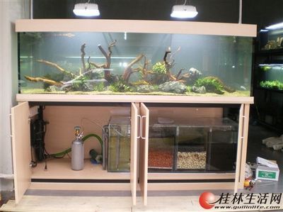 大型海水魚(yú)缸換水方法：大型海水魚(yú)缸換水方法和注意事項(xiàng) 魚(yú)缸百科 第3張