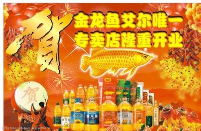 搜索金龍魚的全屏照片：免費(fèi)下載金龍魚全屏照片 龍魚百科 第2張