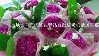 廣州芳村鮮花批發(fā)市場(chǎng)一手批發(fā)商：廣州情意鮮花批發(fā)市場(chǎng) 廣州水族批發(fā)市場(chǎng) 第3張