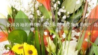 廣州芳村鮮花批發(fā)市場(chǎng)一手批發(fā)商：廣州情意鮮花批發(fā)市場(chǎng) 廣州水族批發(fā)市場(chǎng) 第4張