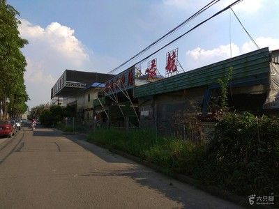 芳村花鳥魚市場搬到哪里了：廣州芳村花鳥魚蟲市場的搬遷 廣州水族批發(fā)市場 第1張