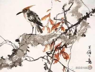 芳村花鳥魚蟲新世界有鳥嗎：廣州芳村花鳥魚蟲新世界 廣州水族批發(fā)市場 第1張