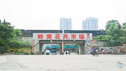 芳村大道花卉市場(chǎng)：廣州芳村大道西嶺南花卉市場(chǎng) 廣州水族批發(fā)市場(chǎng) 第4張