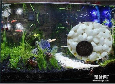 成品魚缸改底色的最好辦法視頻：關于成品魚缸改底色的幾種方法以及注意事項以及注意事項 魚缸百科 第3張