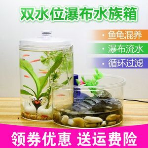 斗魚魚缸需要過(guò)濾嗎：斗魚魚缸是否需要過(guò)濾 魚缸百科 第4張