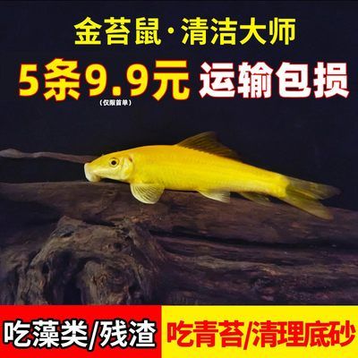 大型魚缸怎么搬：大型魚缸搬運(yùn)注意事項(xiàng)和注意事項(xiàng)和注意事項(xiàng)和注意事項(xiàng) 魚缸百科 第1張