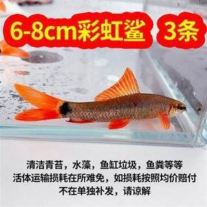 大型魚缸怎么搬：大型魚缸搬運(yùn)注意事項(xiàng)和注意事項(xiàng)和注意事項(xiàng)和注意事項(xiàng) 魚缸百科 第3張