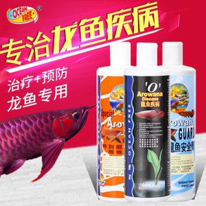 從網(wǎng)上買龍魚可以嗎安全嗎：從網(wǎng)上購買龍魚可以嗎？ 龍魚百科 第1張