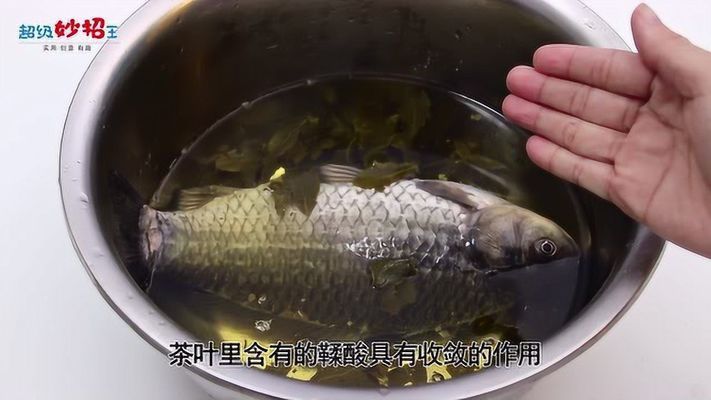 茶水養(yǎng)紅龍魚好不好呀：紅龍魚養(yǎng)紅龍魚的飼養(yǎng)注意事項(xiàng)紅龍魚的飼養(yǎng)方法 龍魚百科 第2張