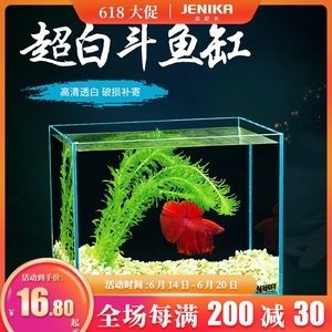 魚(yú)缸養(yǎng)魚(yú)常見(jiàn)病與用藥：在魚(yú)缸養(yǎng)魚(yú)時(shí)，可能會(huì)遇到各種疾病問(wèn)題，正確的用藥方式是關(guān)鍵 魚(yú)缸百科 第2張