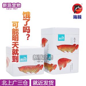 金龍魚為什么魚食最好：金龍魚為什么魚食最好，