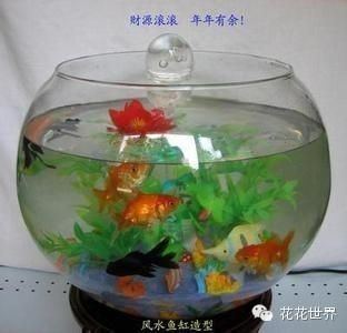 擺個魚缸就叫風水：魚缸擺放與風水 魚缸百科 第1張