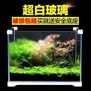 北方魚缸水草怎么養(yǎng)護：北方魚缸中的水草養(yǎng)護需要注意的幾個方面，水草養(yǎng)護要注意 魚缸百科 第3張