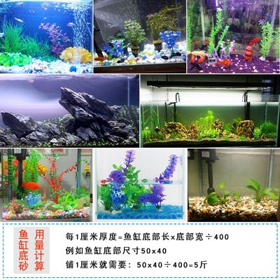 白色石頭魚缸造景圖：關(guān)于白色石頭魚缸造景的一些相關(guān)信息