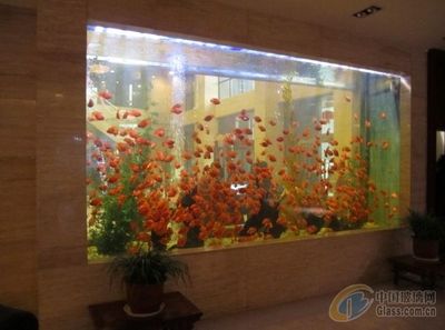 超大型魚缸用什么玻璃好：超大型魚缸制作材料