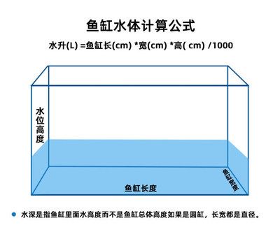 1.2米魚缸高度選擇：1.2米魚缸的高度選擇