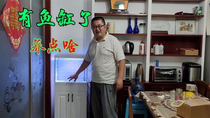 大梅家的魚缸怎么樣啊視頻：大梅家的魚缸是一個家庭版的海底世界 魚缸百科 第3張