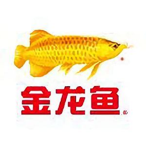 金龍魚頭像 微信：什么是金龍魚頭像微信頭像 龍魚百科 第2張