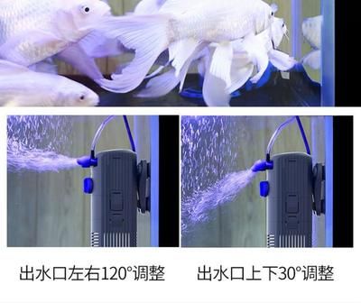 大魚缸廢物利用改造：大魚缸廢物利用改造方案 魚缸百科 第3張