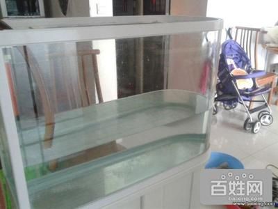 玻璃魚缸漏水怎么辦視頻：diy魚缸漏水原因及修補方法魚缸保養(yǎng)技巧 魚缸百科 第3張