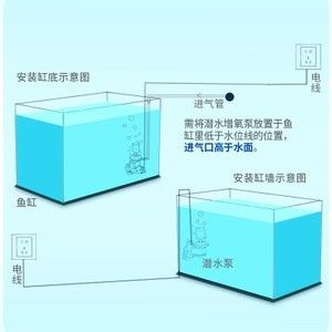 安裝小魚缸視頻：小魚缸安裝基礎(chǔ)教程 魚缸百科 第4張