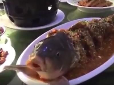 龍魚嘴總是一張一合的怎么辦：龍魚嘴總是一張一合怎么辦 龍魚百科 第3張